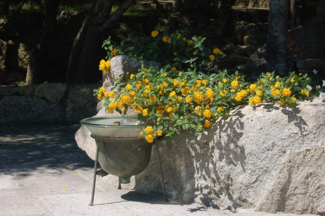 Charming Villa In Olbia With Shared Pool And Garden بورتو روتوندو 0*,  إيطاليا
