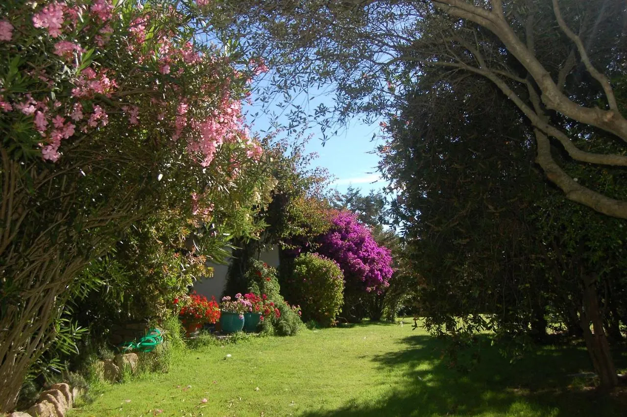 Charming Villa In Olbia With Shared Pool And Garden بورتو روتوندو