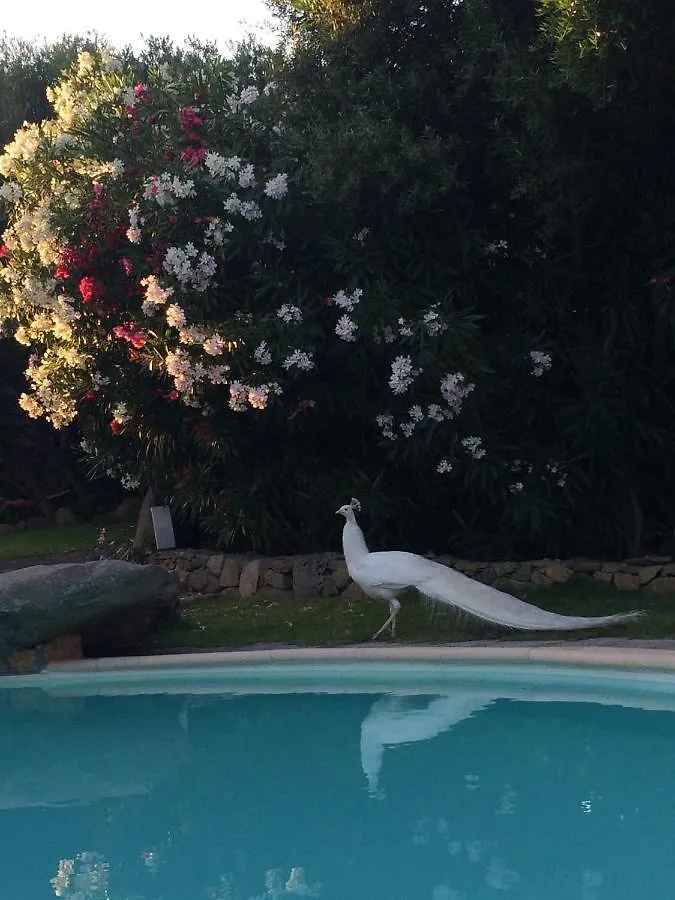Charming Villa In Olbia With Shared Pool And Garden بورتو روتوندو